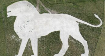 Aerial view of chalk lion in Chiltern hills near Whipsnade