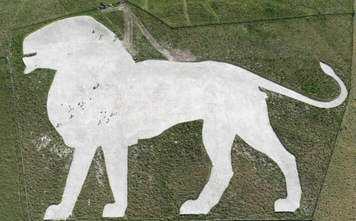 Aerial view of chalk lion in Chiltern hills near Whipsnade