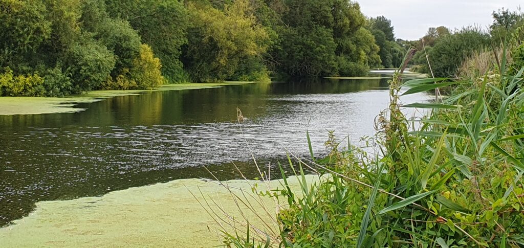 View along the River Great Ouse near Stevington