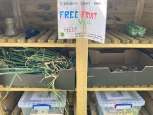 Shelving with vegetables 