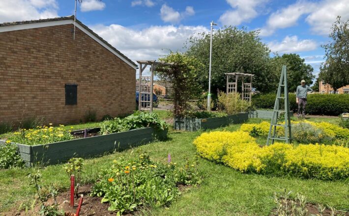Biggleswade Community Garden - Northfields Garden