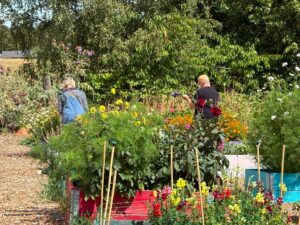 People in the garden 