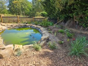 New pond at Bloomin Well Clophill